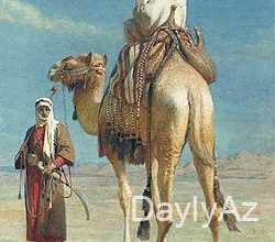 bedeviler haqqinda melumat