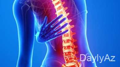 onurga sutunu haqqinda melumat