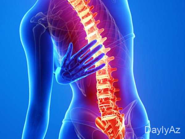 onurga sutunu haqqinda melumat