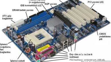 komputer hisseleri haqqinda melumat