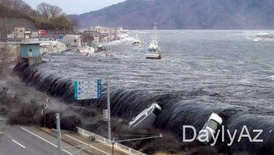 sunami haqqinda melumat