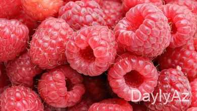 moruq haqqinda melumat