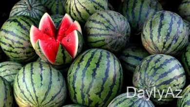 qarpız haqqında melumat