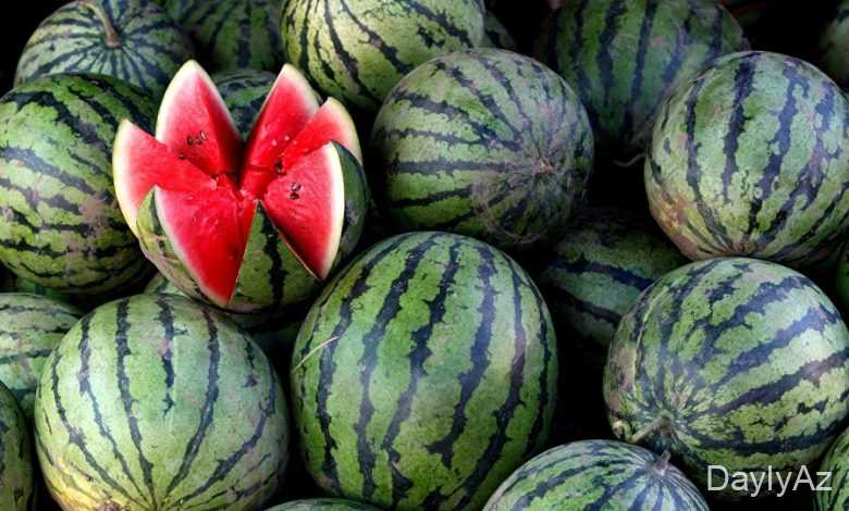 qarpız haqqında melumat