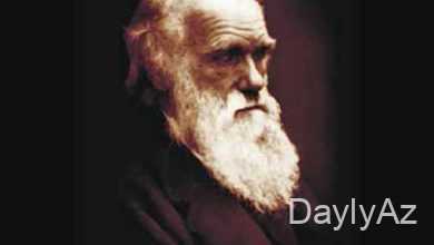 darvin cixintisi haqqinda melumat