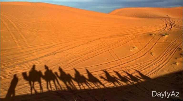 Böyük Səhra – Dünyanın Ən Böyük İsti Səhrası, Coğrafiyası, İqlimi və Ekosistemi