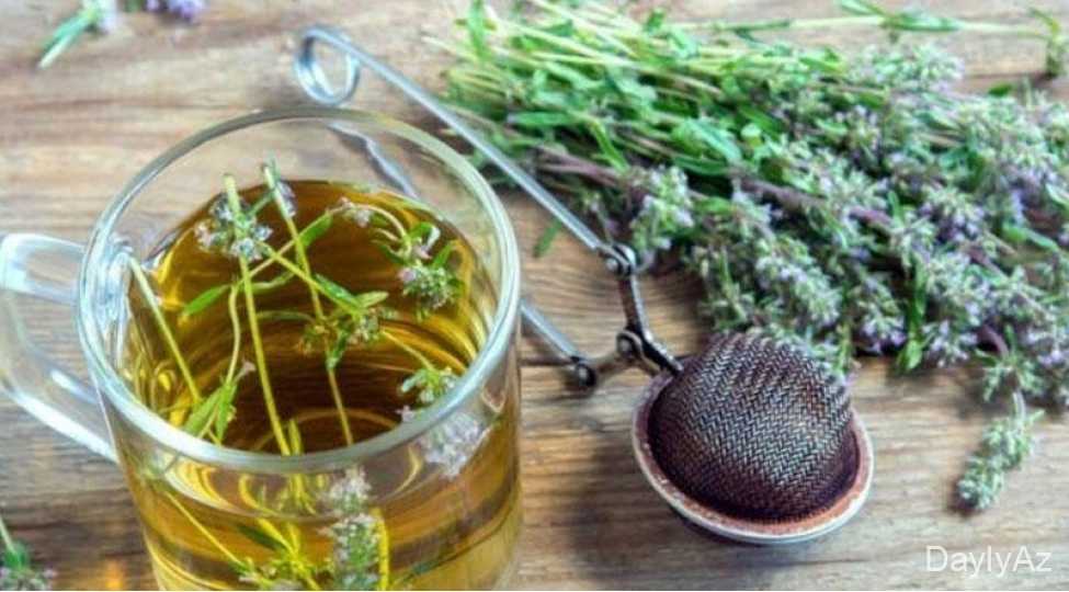 Keklikotu Haqqında Tam Məlumat – Faydaları, İstifadəsi və Yetişdirilməsi