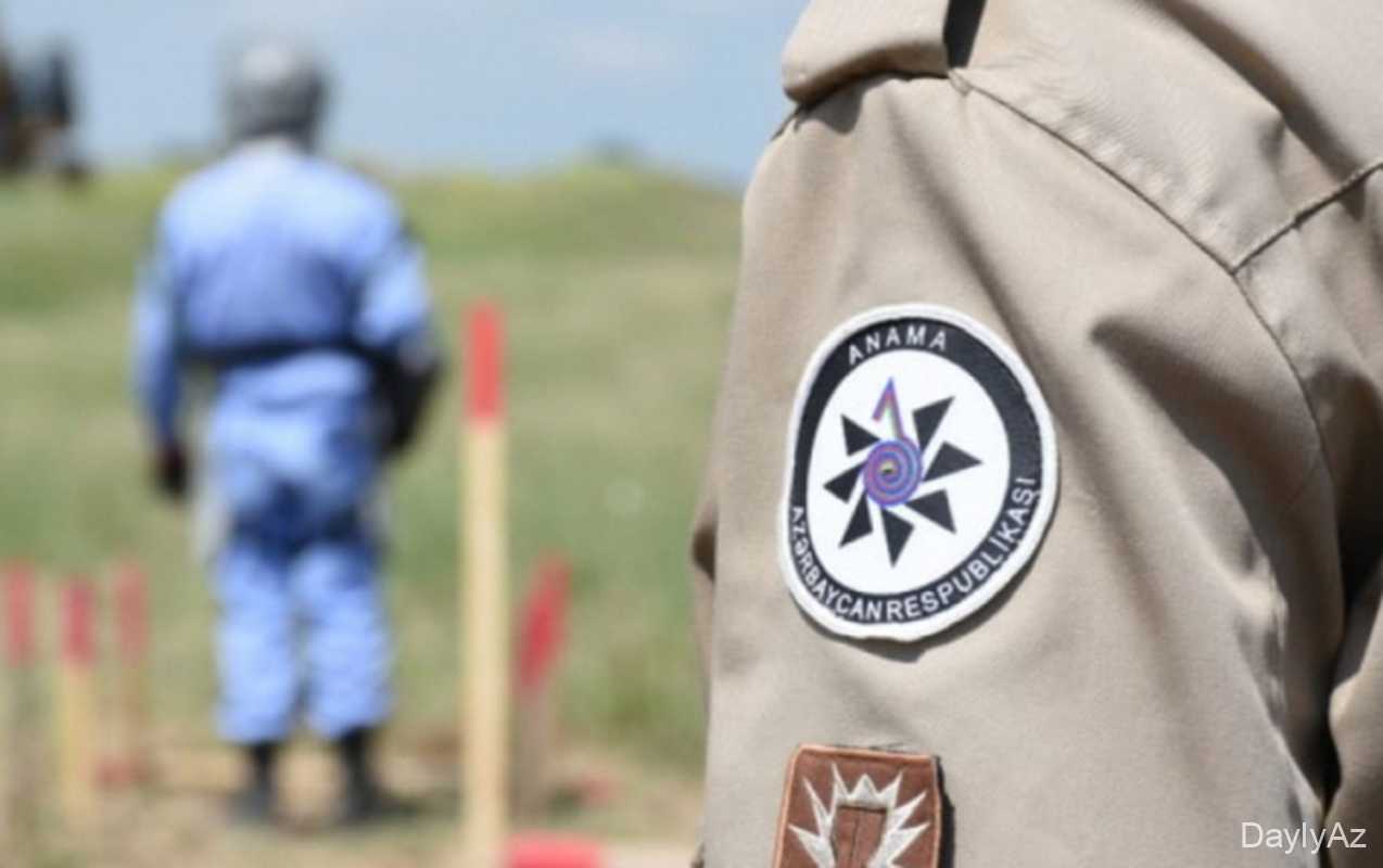 ANAMA-ya yeni vəzifə həvalə edildi