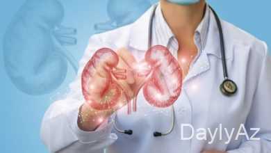 boyrek iltihabi haqqinda melumat