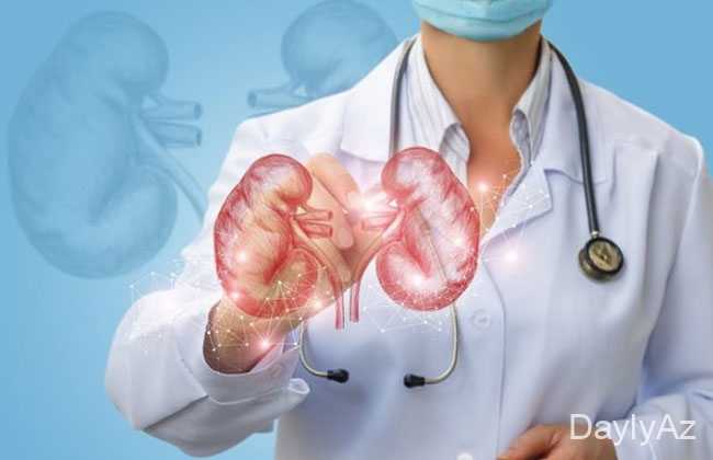 boyrek iltihabi haqqinda melumat