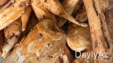 çilədağı bitkisi haqqinda melumat