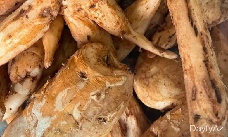 çilədağı bitkisi haqqinda melumat