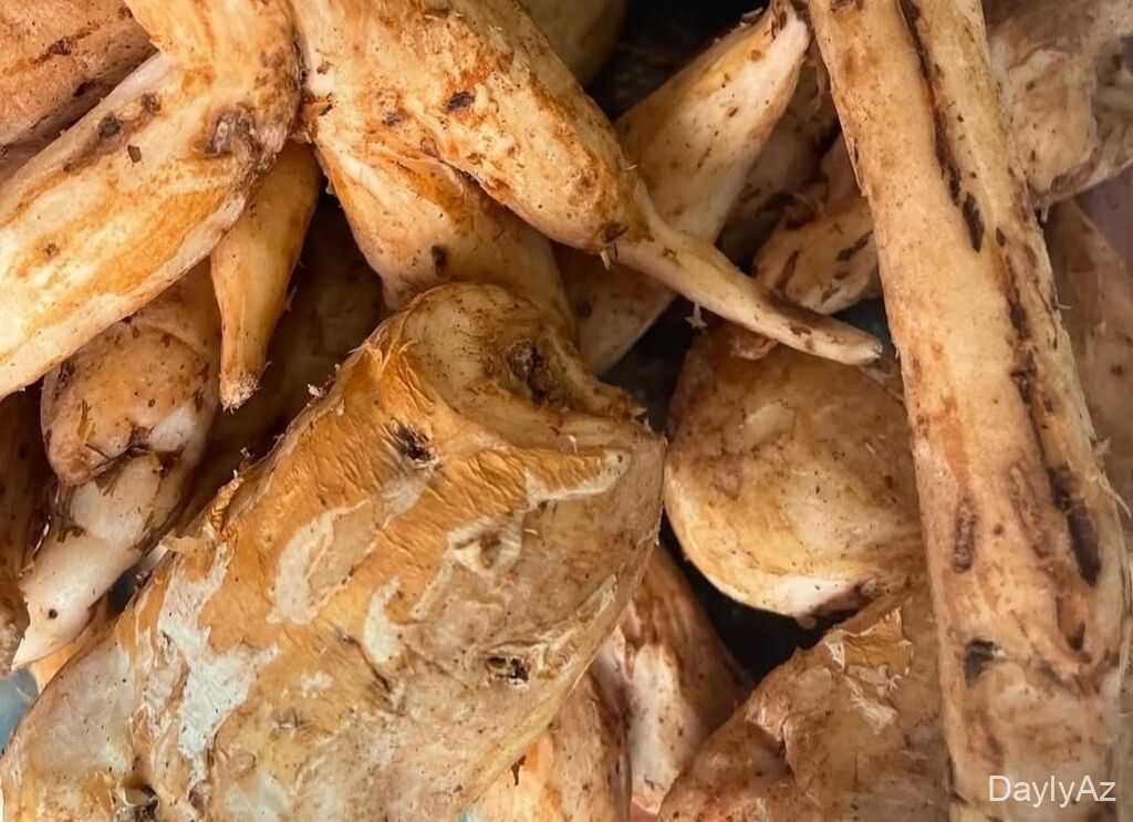 Çilədağı Bitkisi: Faydaları, İstifadəsi və Təbii Şifalı Xüsusiyyətləri