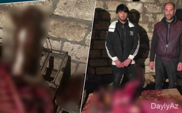 146 kq at ətinin satılmaq niyyəti müəyyən olundu