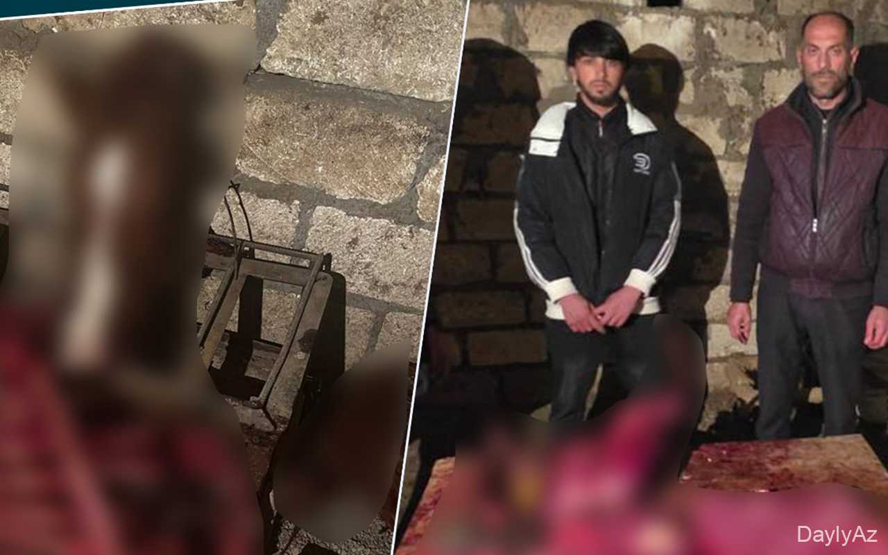 146 kq at ətinin satılmaq niyyəti müəyyən olundu