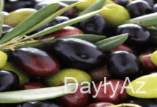 zeytun haqqinda melumat