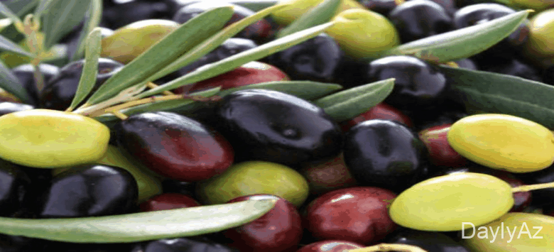 zeytun haqqinda melumat