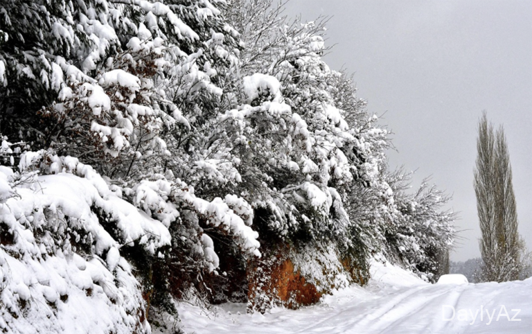 Temperatur 8 dərəcə enəcək, yollar buz bağlayacaq 
							 – Xəbərdarlıq