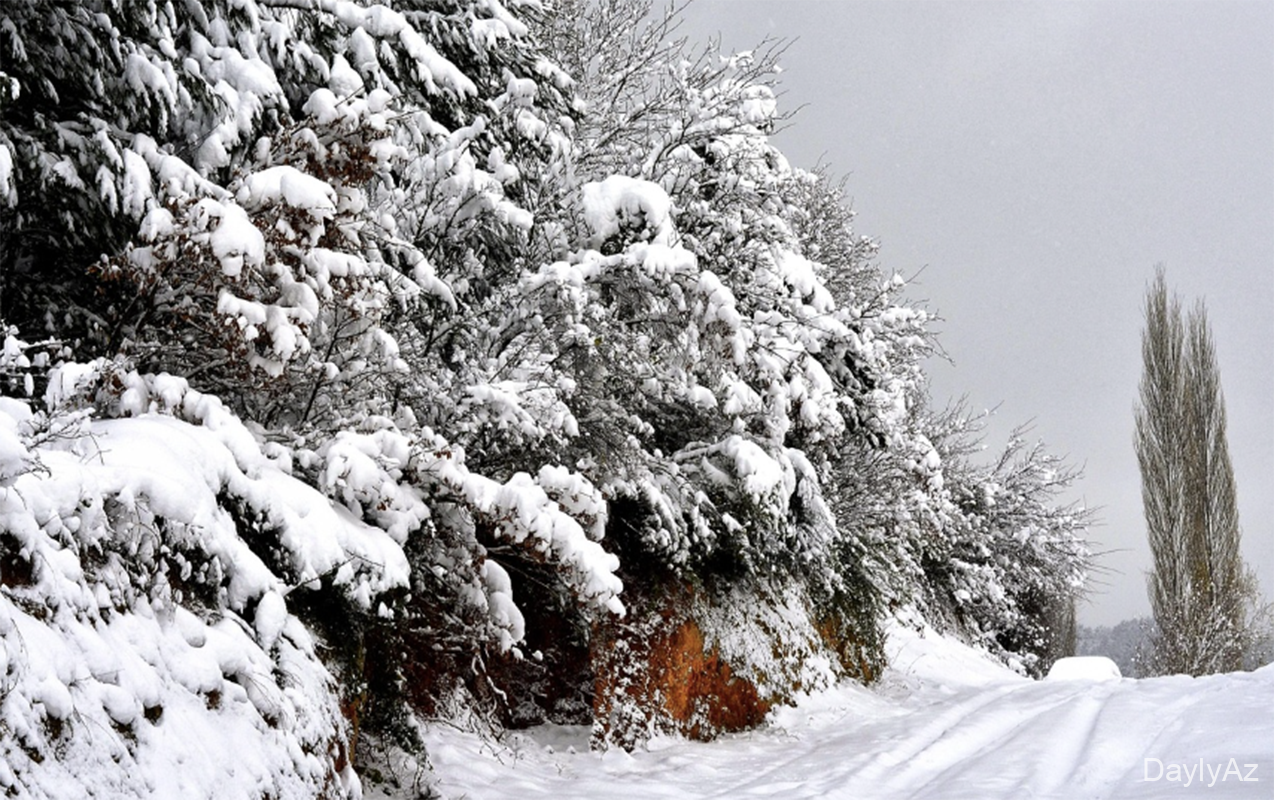 Temperatur 8 dərəcə enəcək, yollar buz bağlayacaq 
							 – Xəbərdarlıq