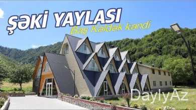 şeki haqqinda melumat