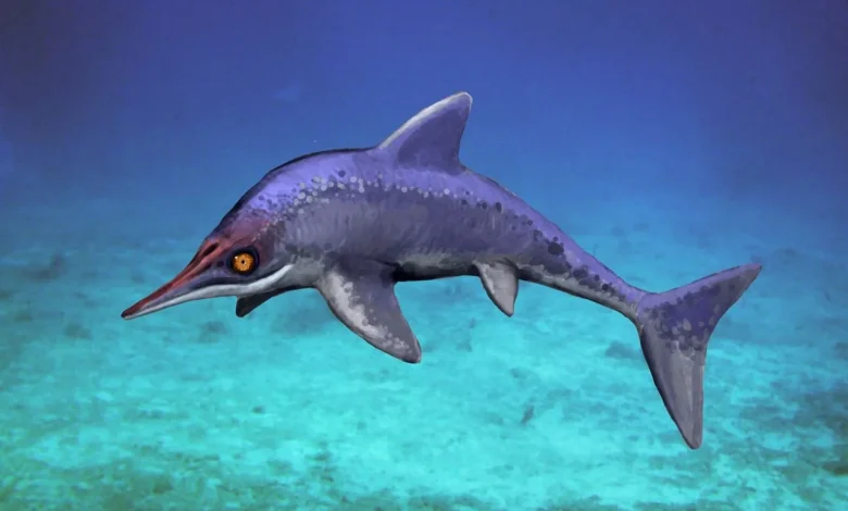 dinozavr ve ixtiozavr haqqinda melumat