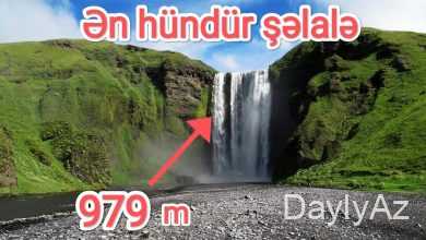 en hundur selale haqqinda melumat