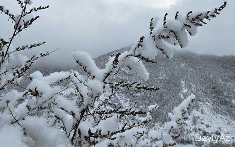 Şahbuza 37 sm qar yağdı