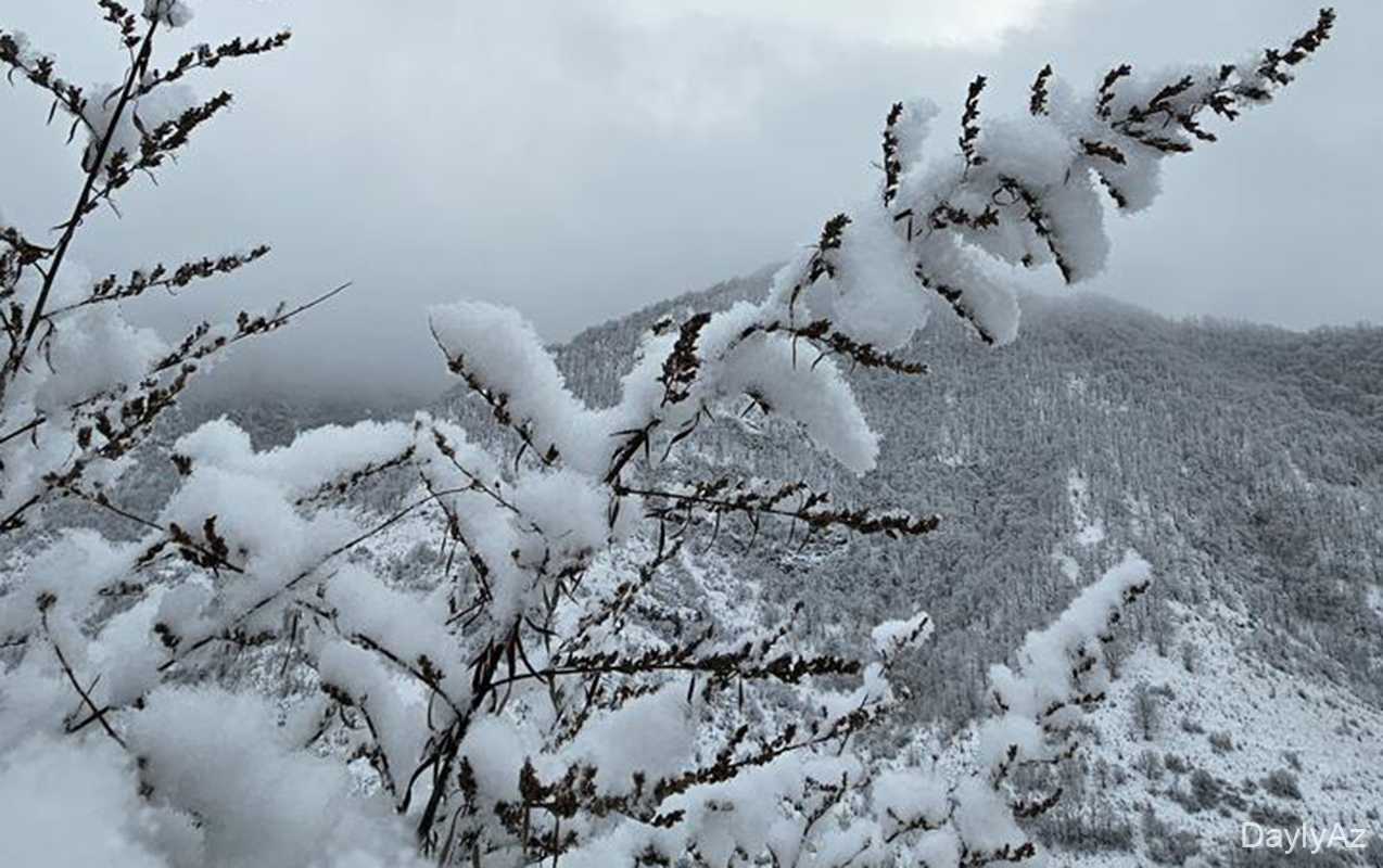 Şahbuza 37 sm qar yağdı
