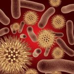 Ureaplasma Urealyticum nədir? Simptomlar, səbəblər və müalicə üsulları