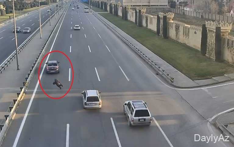 Motorlu qəzada qadın xəsarət alıb – Video