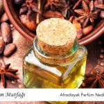 Afrodizyak nədir? Təbii vasitələr, təsiri və elmi izahı