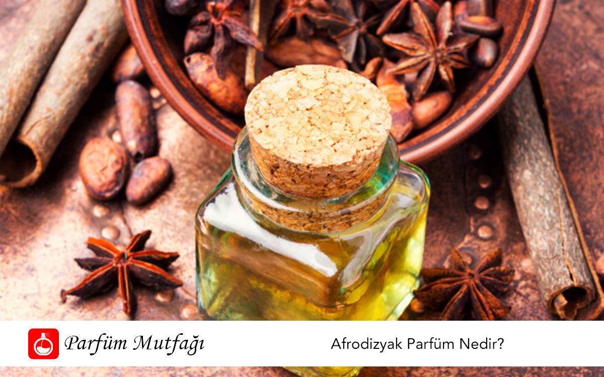 Afrodizyak nədir? Təbii vasitələr, təsiri və elmi izahı