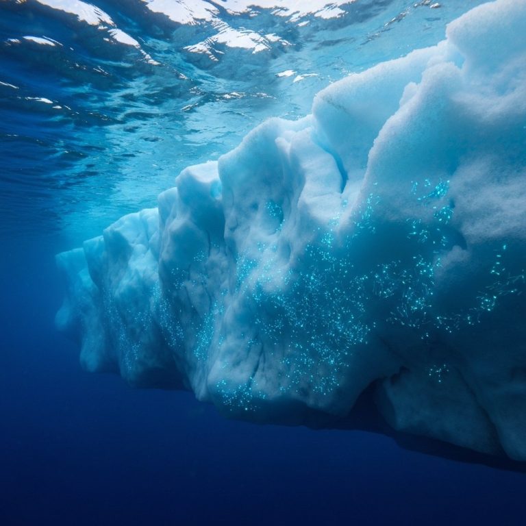 Antarktida buz altı mikrobları: Uzunömürlülüyün sirri buzda gizlənirmi?