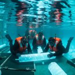 Antarktida Elm adamları buzun altından uzunömürlülüyün sirrini açır: Gözlənilməz faktlar