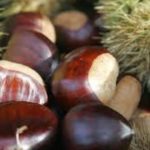 Yuxuda Şabalıd Görmək Nə Deməkdir? Tam Yuxu Yozumu və Mənaları