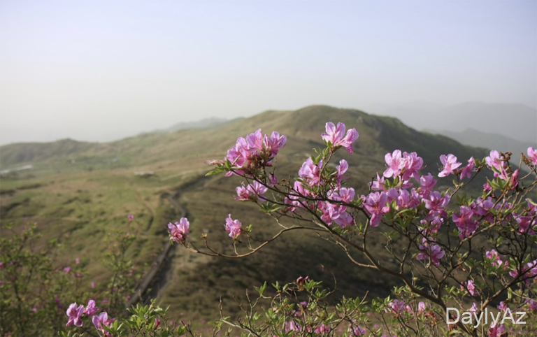 Sabah 17 ° isti olacaq
