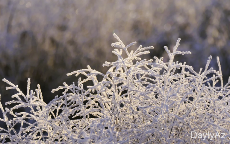 10 dərəcə şaxta olacaq