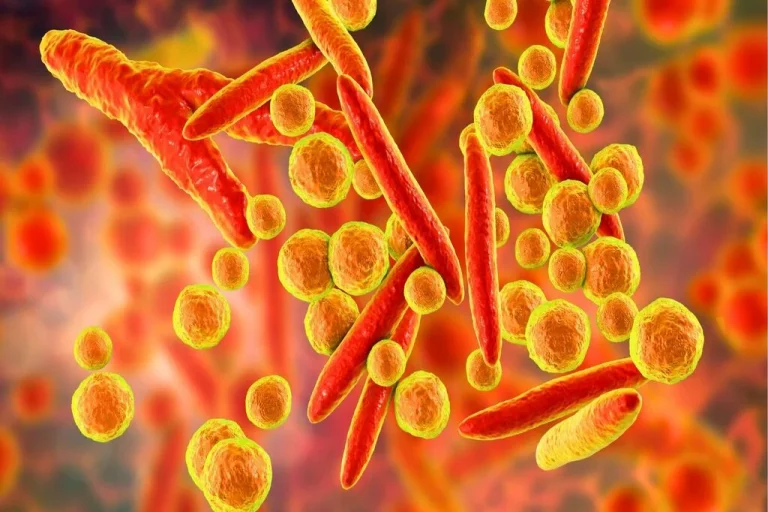 Mycoplasma hominis nədir? Əlamətləri, yoluxma yolları və müalicəsi