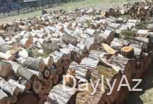 odun yaranmasi haqqinda melumat