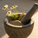 Qədim Misir Dərman Bitkiləri: Səhiyyədə Yenidən Kəşf Olunan Sağlamlıq Sirləri