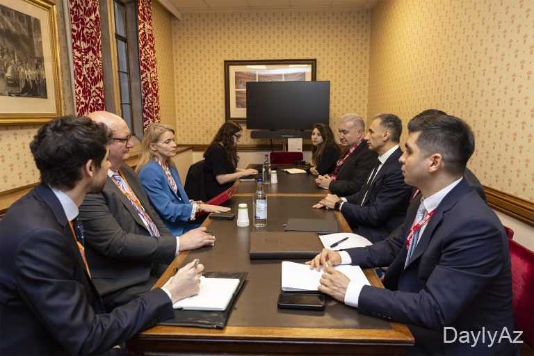 Rəşad Nəbiyev Baroness Lloyd ilə görüşdü 
							 – Fotolar