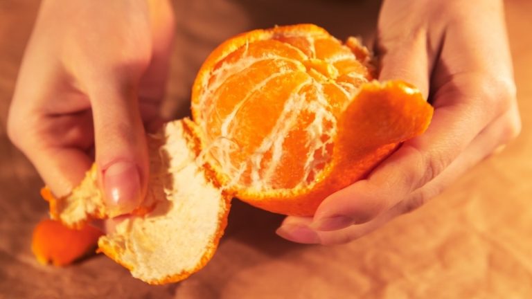 Yuxuda Mandal Yemək: Mənası, Simvolizmi və Yuxu Təfsiri