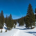 Alp Dağlarının Sirli Yolları: İsveçrədən Kənar Ən Gözəl Marşrutlar