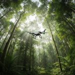 Amazonun Ekoloji Cəhətdən Təmiz Məhsulları: Braziliyadan Milyon Dollarlıq Biznes İmkanları