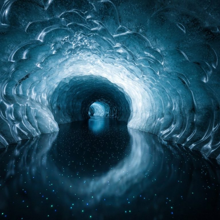 Antarktida buzlarının altındakı mikrob həyatı: Uzunömürlülüyün sirri açılırmı?