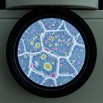 Antarktika buzları altındakı qədim mikroblar: Uzunömürlülüyün sirri açılır?