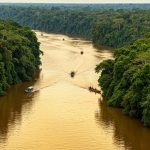 Braziliyada Sahibkarlığın Qızıl Çağı: Amazondan Milyon Dollarlıq Biznes İmkanları