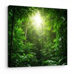 Braziliyada Sahibkarlığın Yeni Qızıl Çağı: Amazonda Təbii Ehtiyatlardan Milyon Dollarlıq Biznes