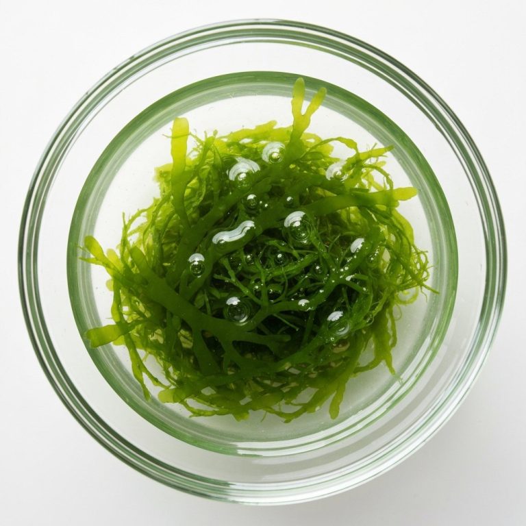 Dünyanın Ən Qəribə Yosunları: Sağlamlıq Bombaları Necə Hazırlanır?