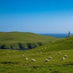 Hebrid Adalarının Gizli Mirvariləri: Şotlandiyanın Yeni Eko-Turizm Məkanları